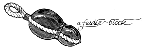 
The fiddle block, a variation on the block and tackle concept that places one pulley above the other. 
